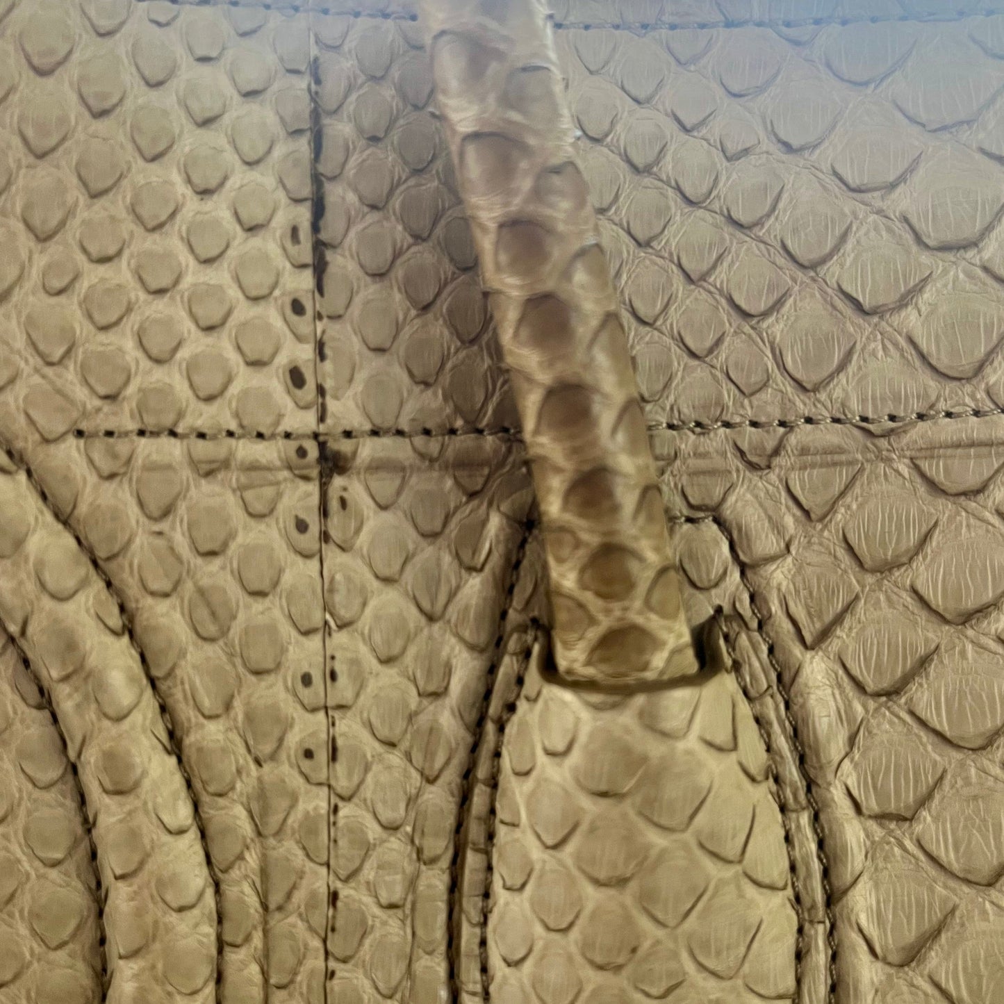 CELINE Tan Large Phantom Python Luggage Bag - Phoebe Philo Design